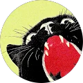 Claire Avatar